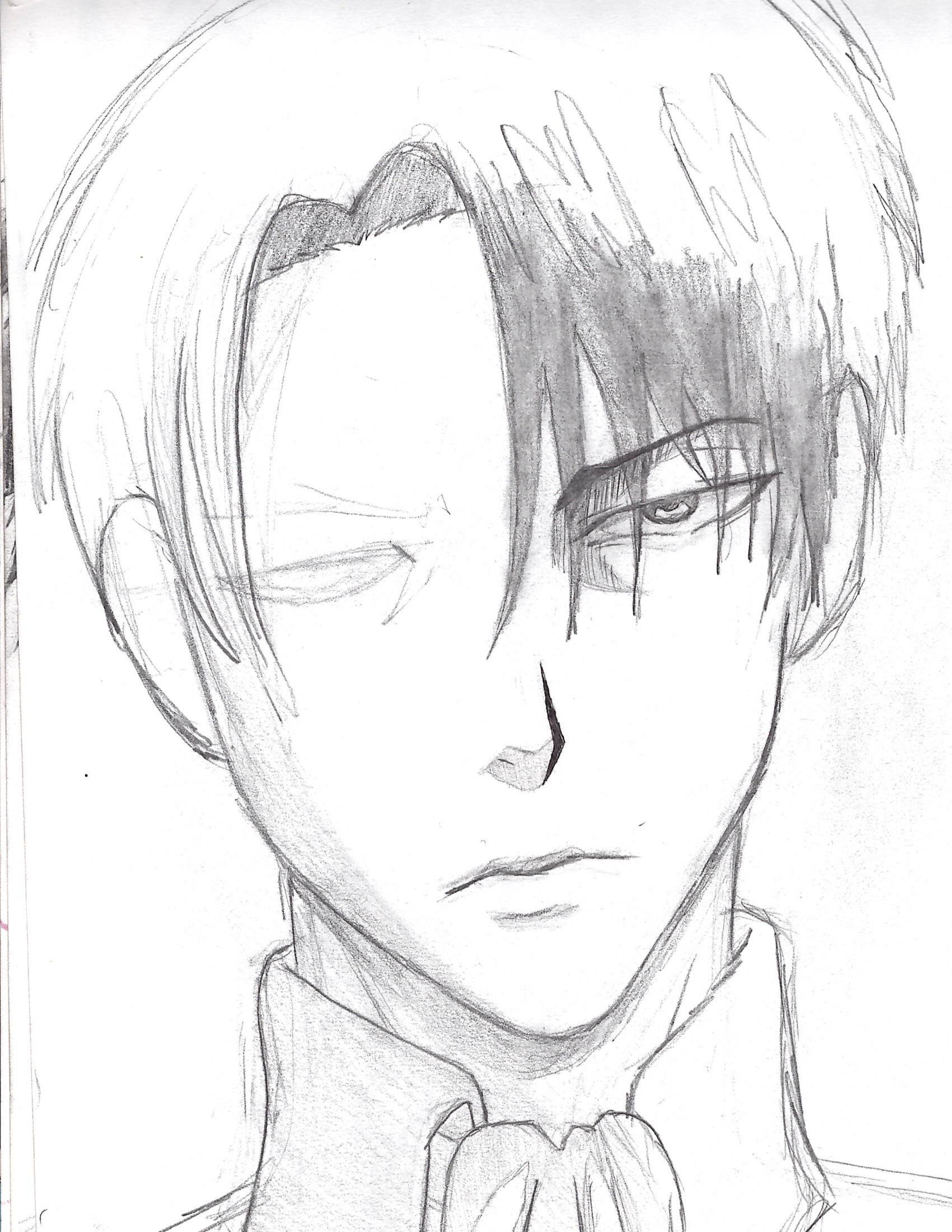 Levi (study)